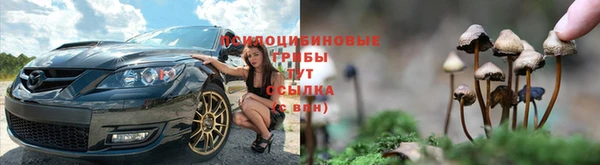 кокс Алзамай